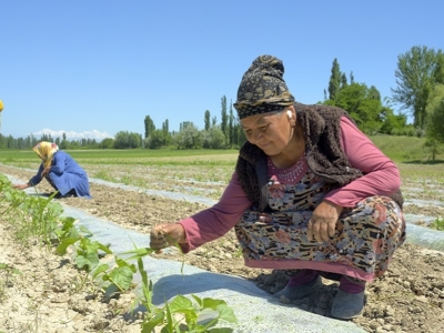 Grameen Credit Agricole Foundation