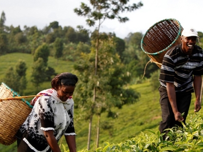 Actu-2019-02-investissements-Afrique-Est