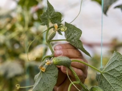 Kosovo 09/18 ©Philippe Lissac/GODONG
