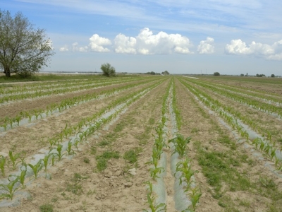 Grameen Credit Agricole Foundation