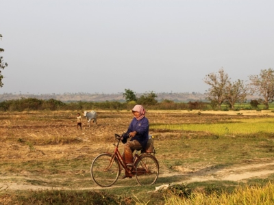 Cambodian farmer riding a bicycle on a dirt track