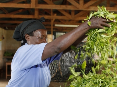 Actu-2020-12-Développement-Afrique subsaharienne