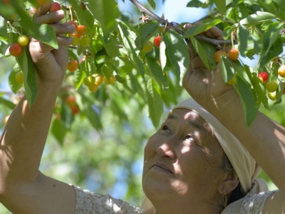 Grameen Credit Agricole Foundation