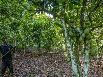 ©Philippe Lissac / Godong