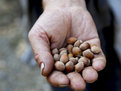 Photo Actu-2020-03-Kosovo