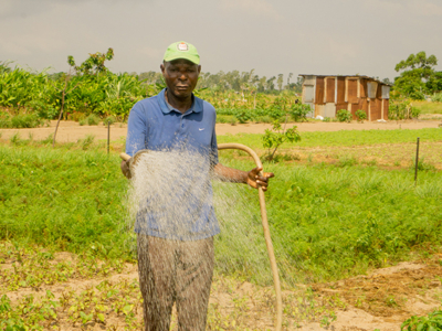 2020-07-Actu article Fondation membre CSAF