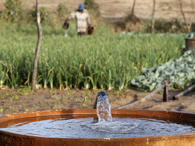 2020 07 Actu Article nouveaux partenaires