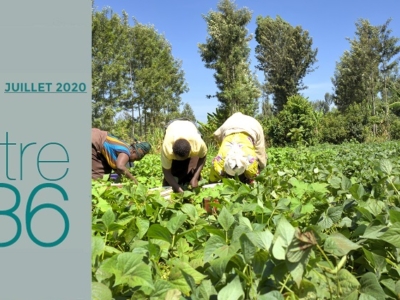 VISUEL NL 36_800px(FR)