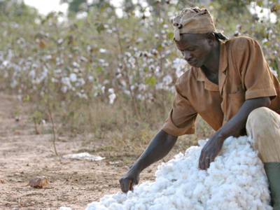 Actualité nov 2020 KAFO