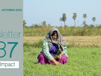 VISUEL-NL-36_800pxFR-1