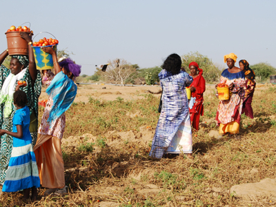 2020-12 actualité pret AFD Ariz