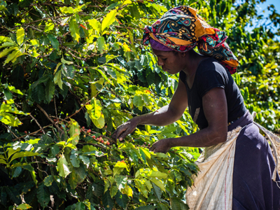 Article financement Zambie 2021-01