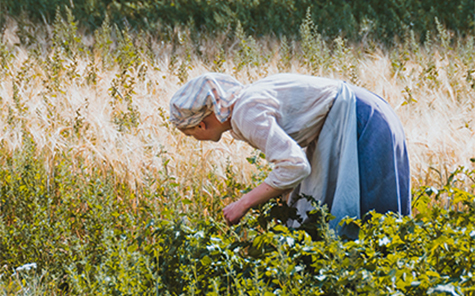 Mission Smart Credit