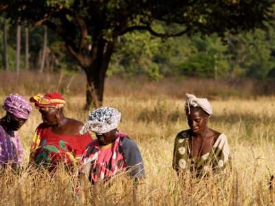 Image Article Rapport FIR mars 2021