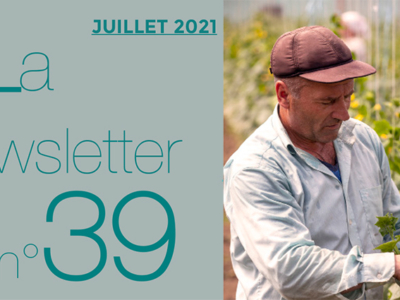 Header Newsletter #39