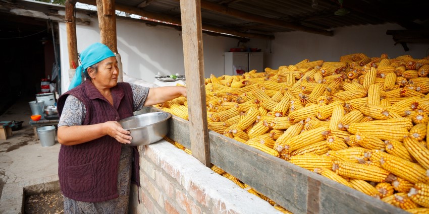 Mission BS Universal Credit