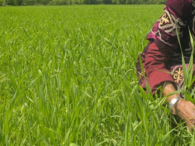 KIRGHIZSTAN_OXUS (Didier Gentilhomme) (17)